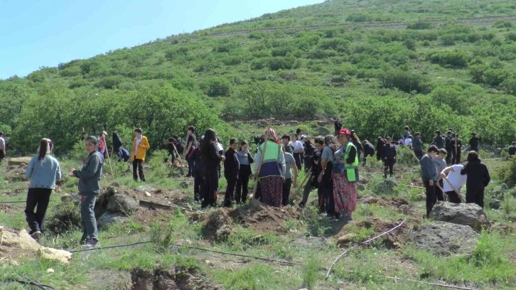 Tekden Koleji öğrencileri 280 fidanı toprakla buluşturdu
