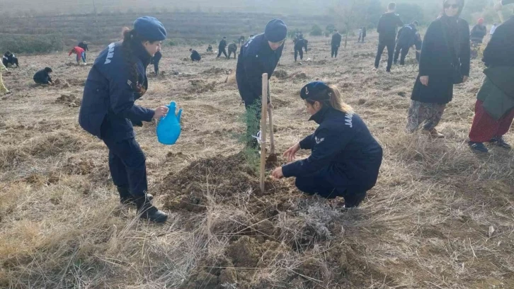 Tekirdağ’da 1 yılda 693 bin fidan dikilecek
