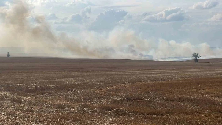 Tekirdağ’da anız yangını
