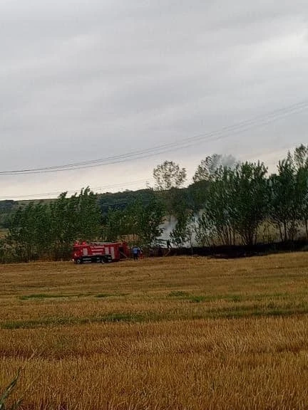 Tekirdağ’da arazi yangını
