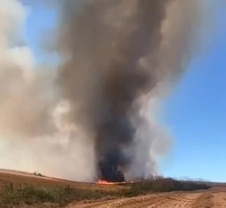 Tekirdağ’da bin dönüm buğday tarlası yandı
