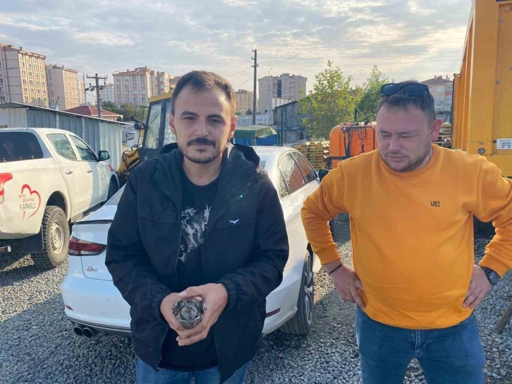 Tekirdağ’da Ebabil kuşu bulundu
