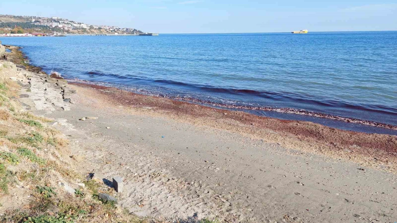 Tekirdağ’da kıyı kızıla boyandı
