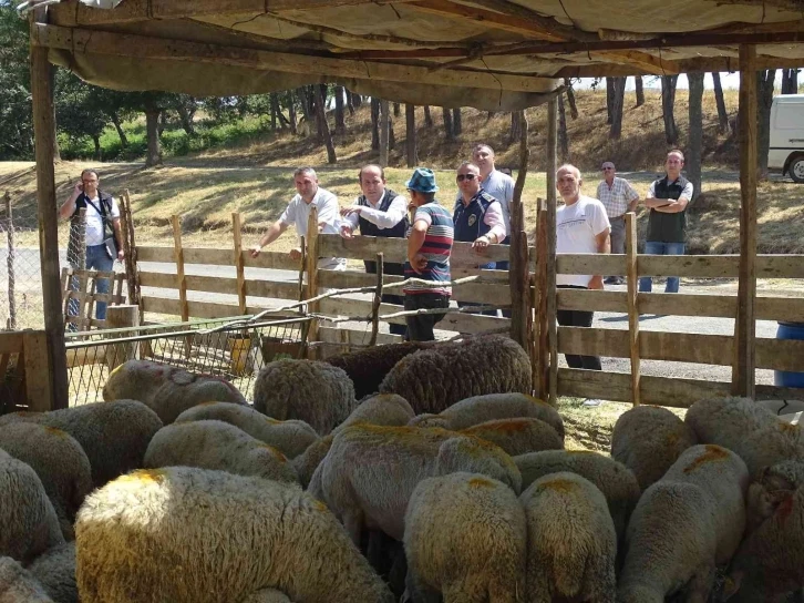 Tekirdağ’da Kurban Bayramı öncesi denetlemeler devam ediyor
