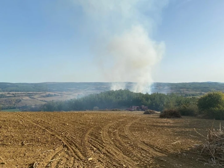 Tekirdağ’da orman yangını
