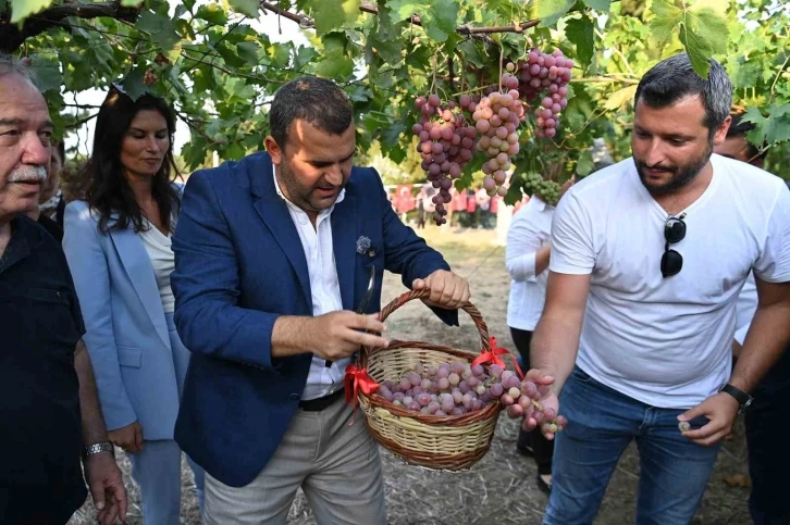 Tekirdağ’da &quot;Bağbozumu Şenliği&quot; coşkusu
