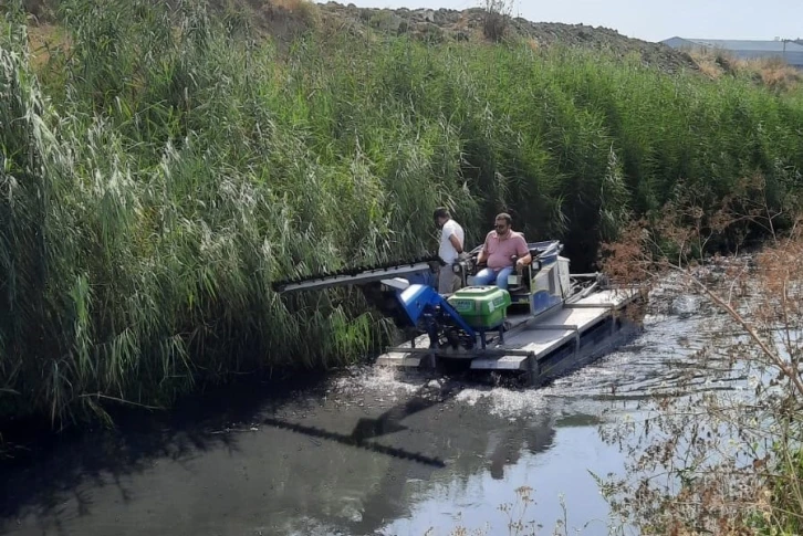 Tekirdağ’da yağmur sineği operasyonu
