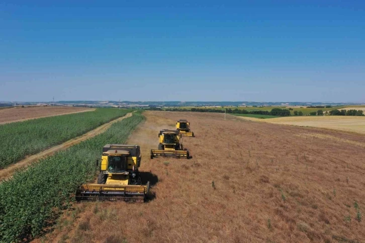 Tekirdağ’da yerli ve milli tohumlardan 60 ton ürün elde edilecek
