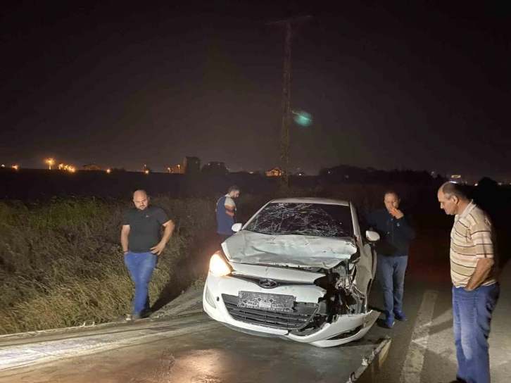 Tekirdağ’da yürek burkan olay: Otomobilin çarptığı yaralı inek, çoban kaçınca sahipsiz kaldı
