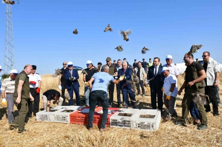 Tekirdağ’ın 40 mahallesinde doğaya 800 keklik salındı
