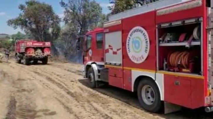 Tekirdağ'da anız yangını ormana sıçradı