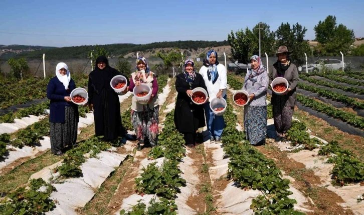 Tepebaşı destekliyor, kadın üreticiler kazanıyor
