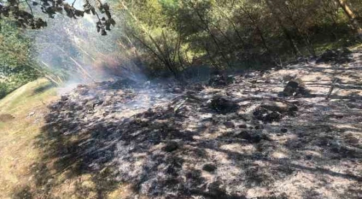 Tercan’da örtü yangını büyümeden söndürüldü