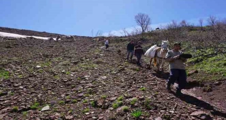 Terörün yerini huzura bıraktığı dağlar, insanlarla dolup taştı