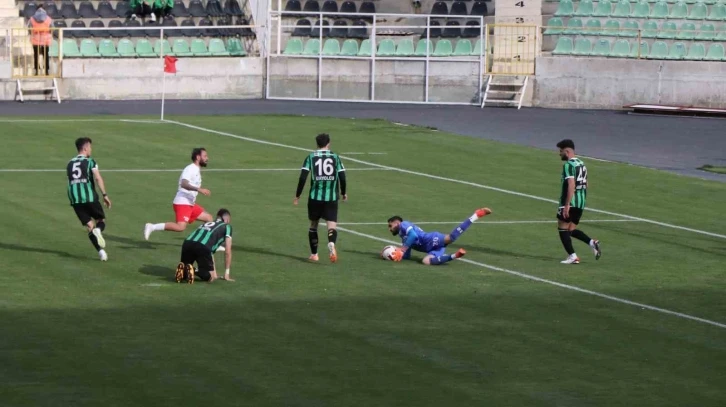 TFF 2. Lig: Denizlispor: 1 - Düzcespor: 2
