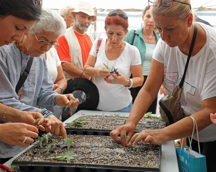 Tıbbi aromatik bitkiler toprakla buluştu
