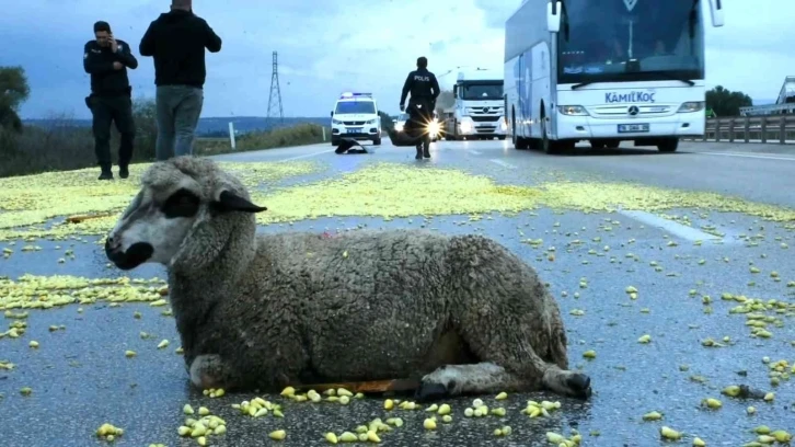 Tır şoförünün dikkati faciayı önledi
