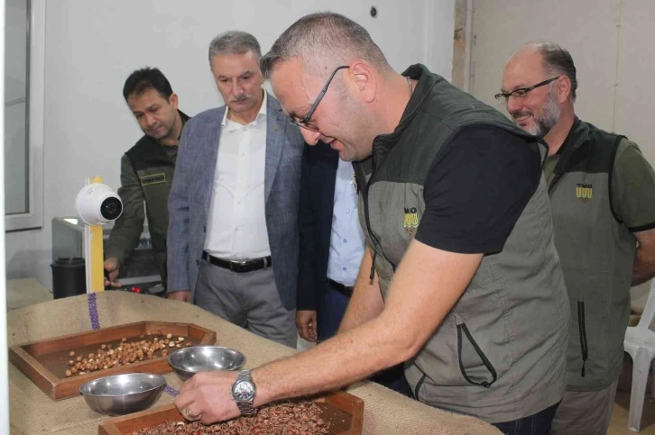 TMO Genel Müdürü Güldal: "Fındığın tamamını almak için hazırlandık"
