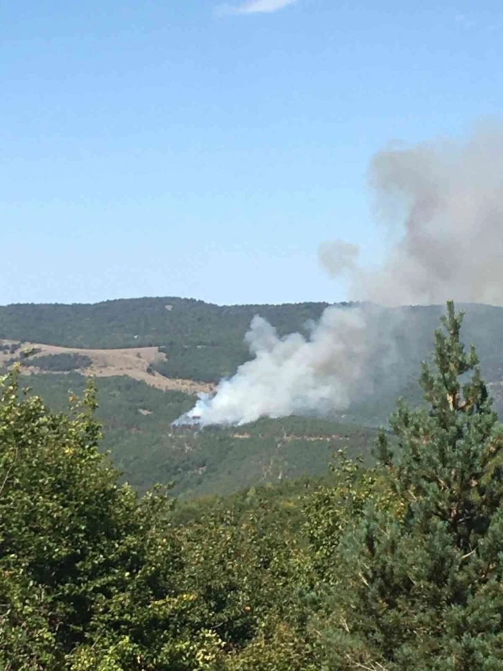 Tokat’ta orman yangını
