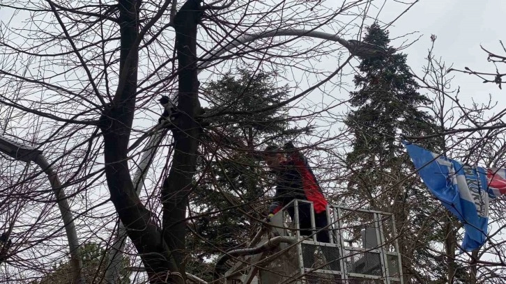 Tokat’ta Yavru Kedi İtfaiye Ekipleri Tarafından Kurtarıldı