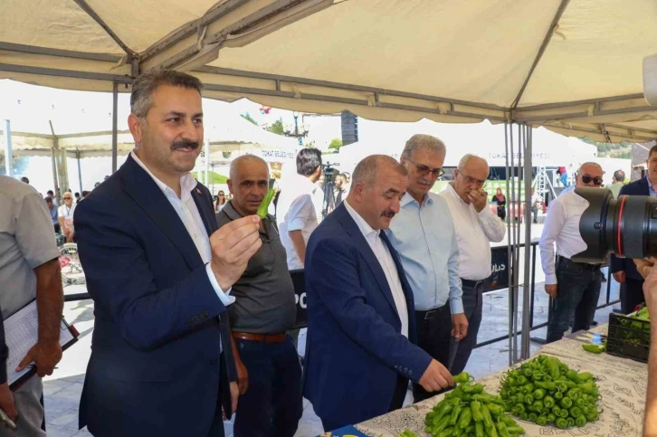 Tokat’tın meşhur sebze ve meyveleri birinci olmak için yarıştı
