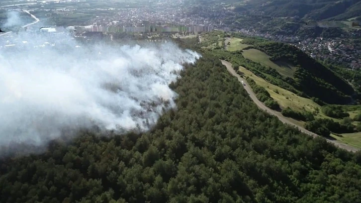 Tokat Valiliği duyurdu: Ormanlara giriş ve her türlü bitki örtüsü yakılması yasaklandı
