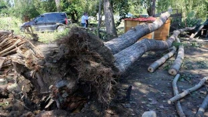 Tokat'ta fırtına, dolu ve sağanak ekili alanları vurdu