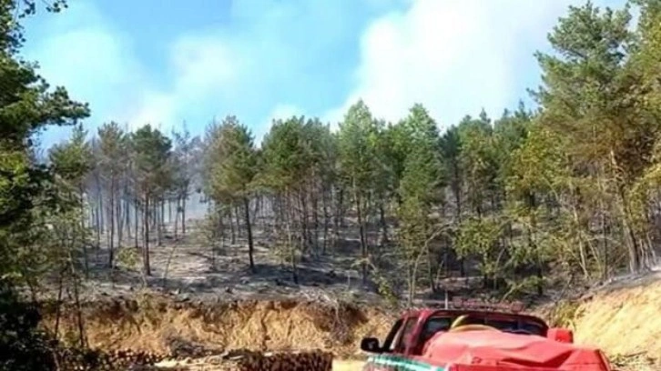 Tokat'ta orman yangını!