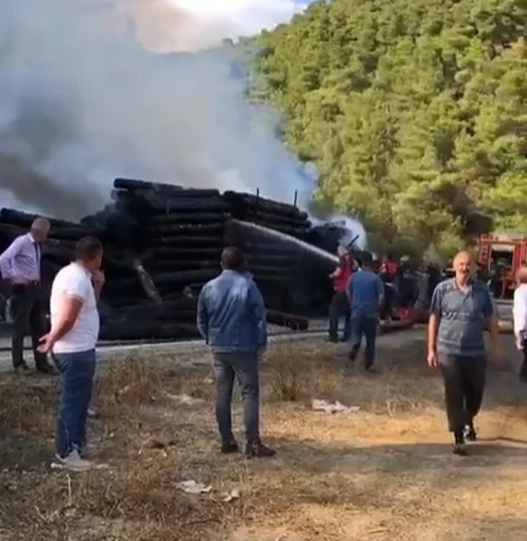 Tomruk yüklü tır alevlere teslim oldu
