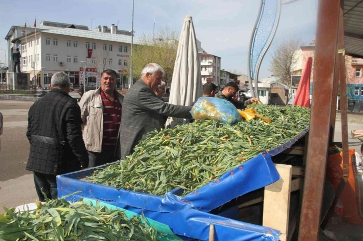 Topladıkları bitkileri satarak geçimlerini sağlıyorlar
