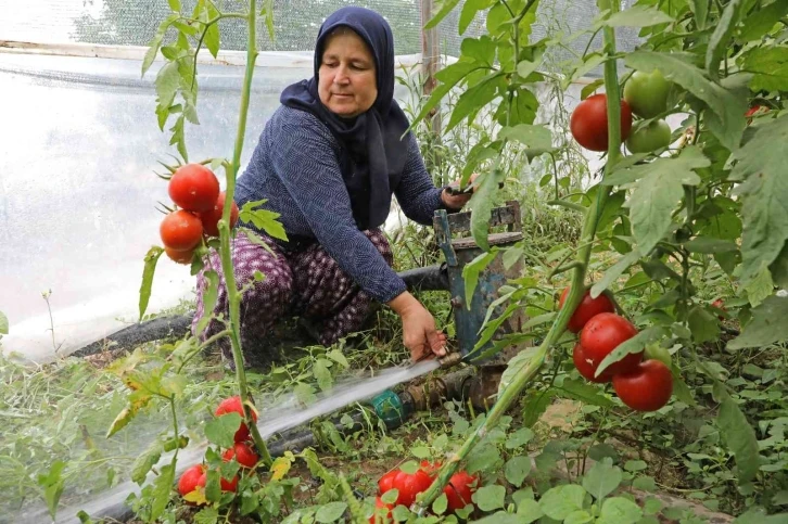 Toprakları suya kavuşan Manavgatlı çiftçinin yüzü güldü
