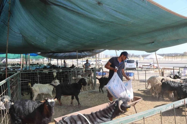 Toroslar’da kurban satış ve kesim alanları hazırlandı
