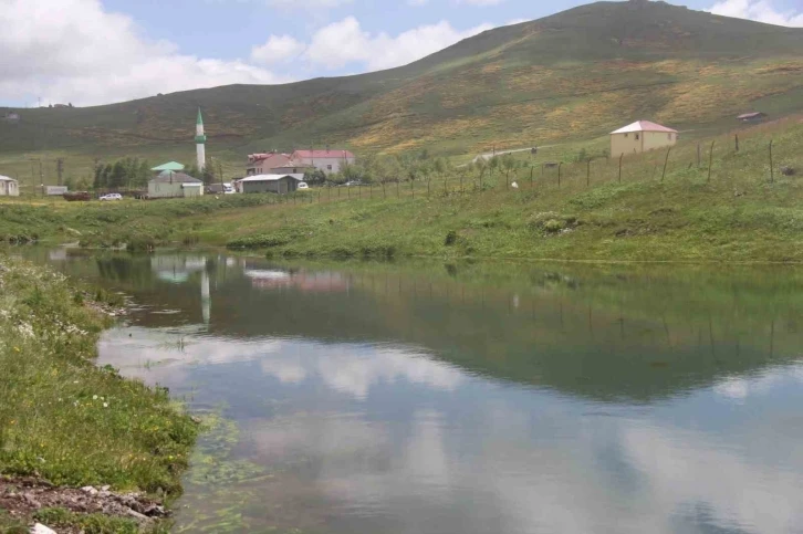 Trabzon’da yaylalara yapılan yapay göletler yayla iklimlerini de yumuşattı
