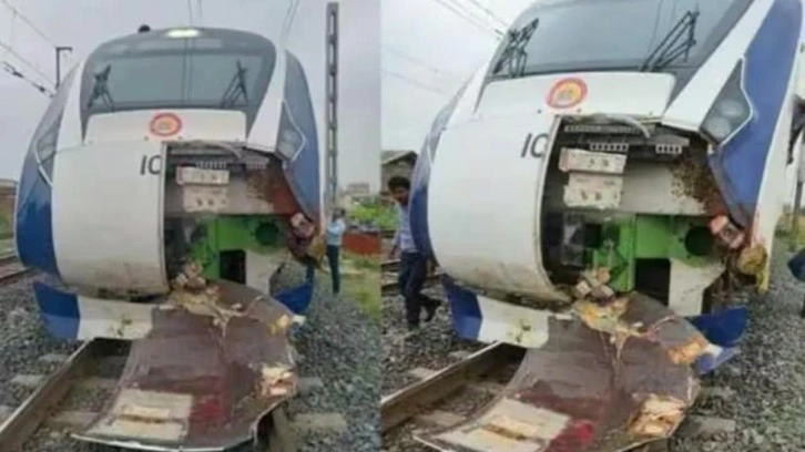 Trenin çarptığı inek, raylara tuvaletini yapan adamı öldürdü