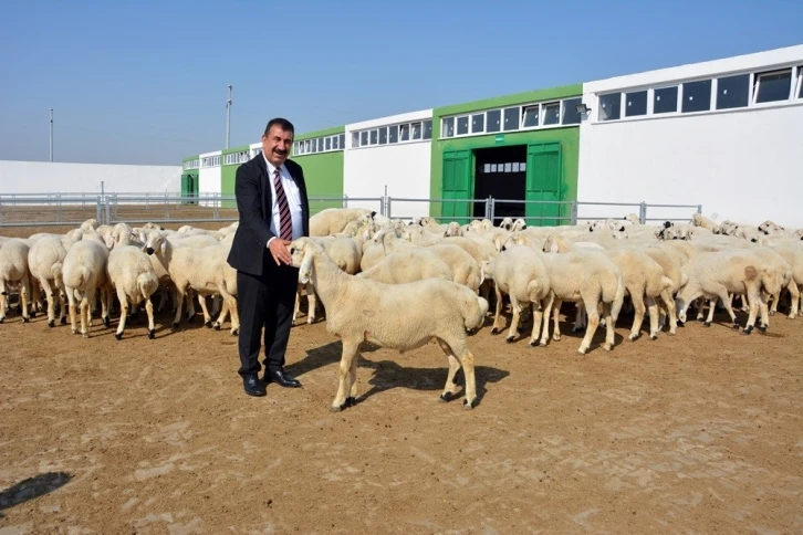 TÜDKİYEB Genel Başkanı Nihat Çelik: "3 milyonun üzerinde küçükbaş hayvan kurban edildi"
