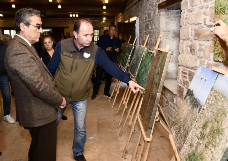 Tülüşah bitkisinin yetişme serüveni sergilendi
