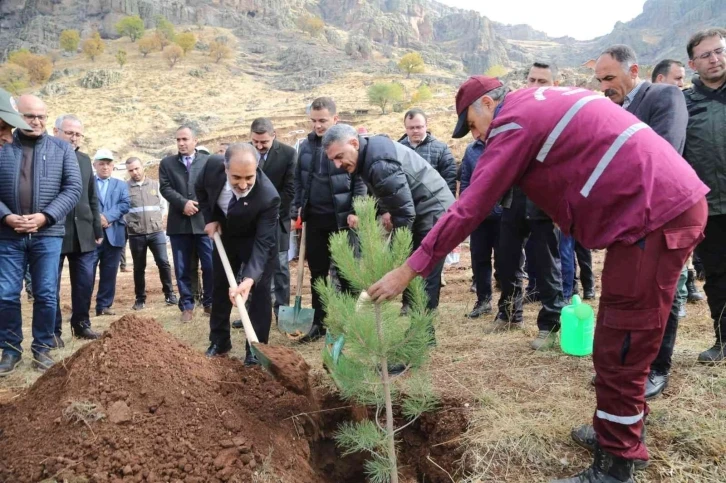 Tunceli’de 20 bin fidan toprakla buluşturuldu
