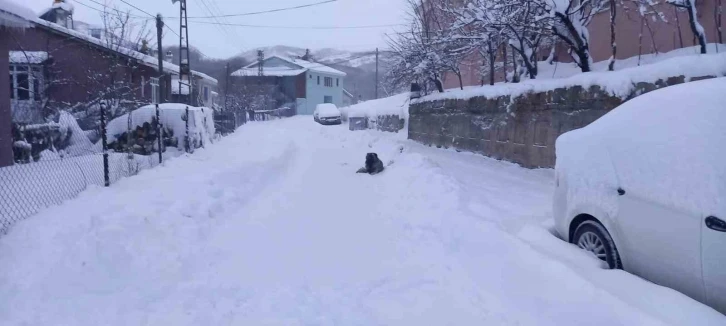 Tunceli’de 251 köy yolu ulaşıma kapandı
