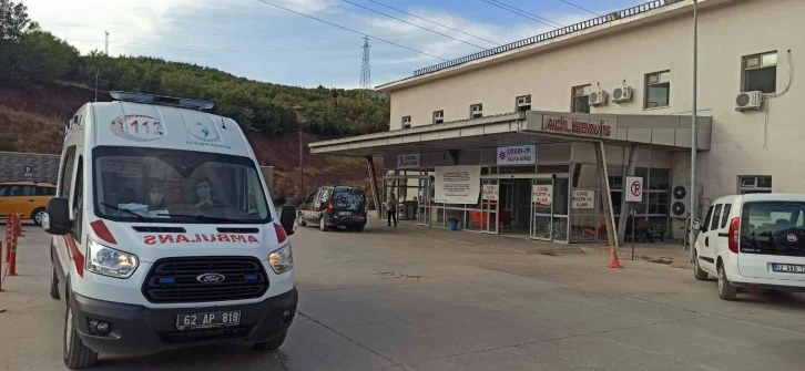 Tunceli’de arıların soktuğu adam hayatını kaybetti
