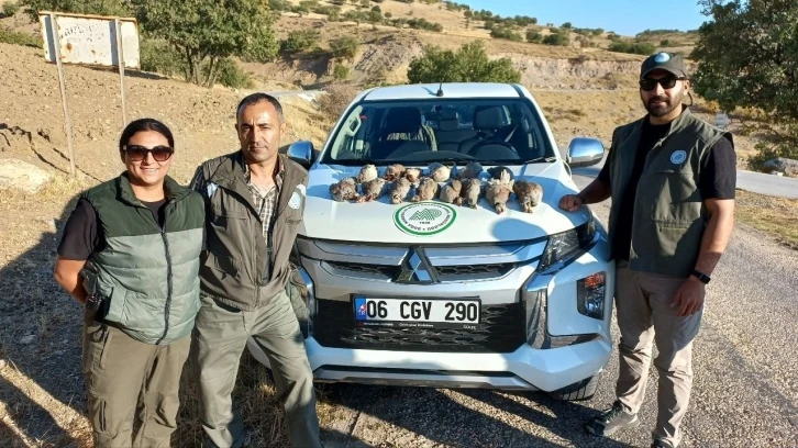 Tunceli’de avlanma ihlali gerçekleştiren 5 kişi hakkında işlem başlatıldı
