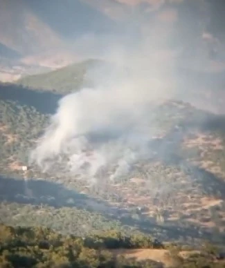 Tunceli’de çıkan orman yangını kontrol altına alındı
