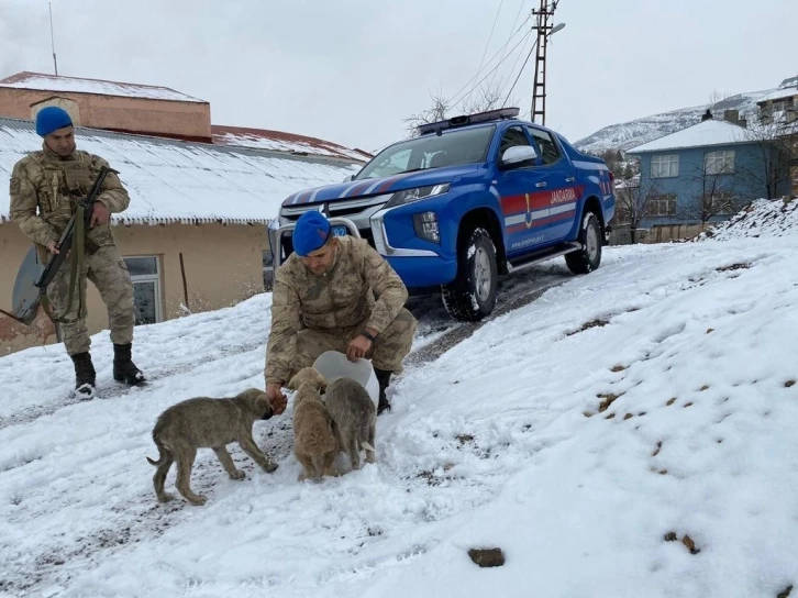 Tunceli’de jandarmadan yürekleri ısıtan davranış
