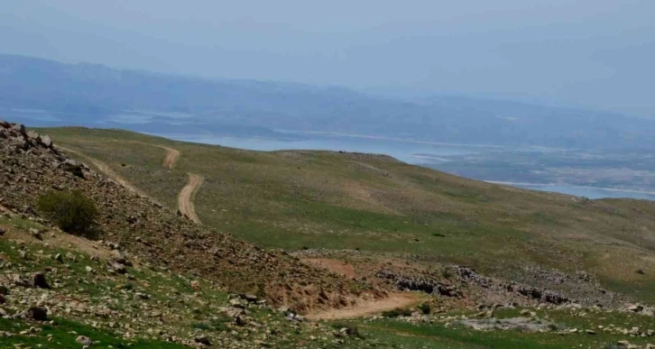 Tunceli’de mera otlatma 15 Haziran’da başlıyor
