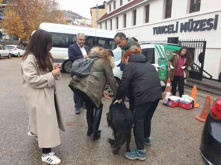 Tunceli’de sokak hayvanlarını aşılama kampanyası başlatıldı
