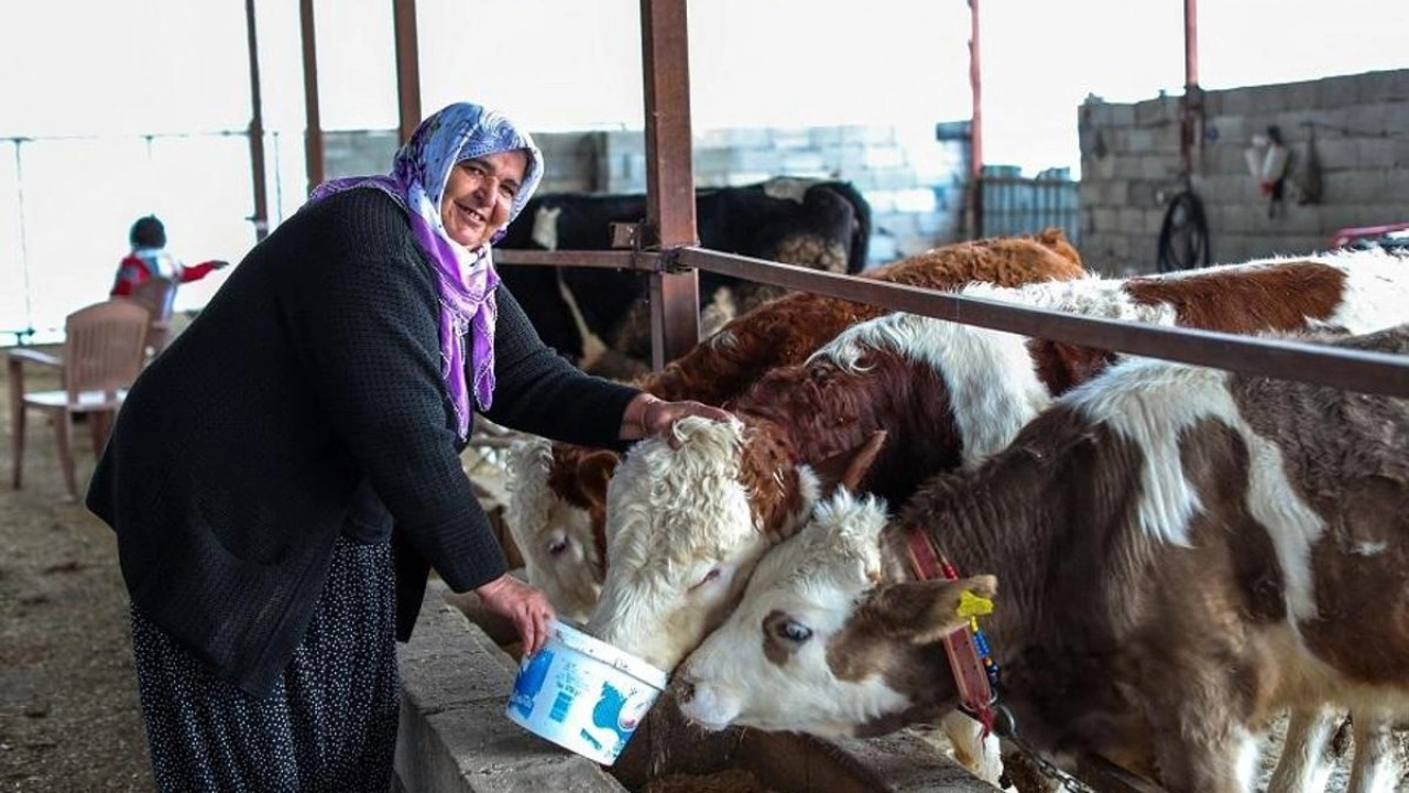 Türk Kızılay, depremden etkilenen 2 bin 797 çiftçiye 70.8 milyon destek verdiğini duyurdu