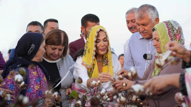 Türkan Şoray, adının verildiği pamuğun hasadına katıldı