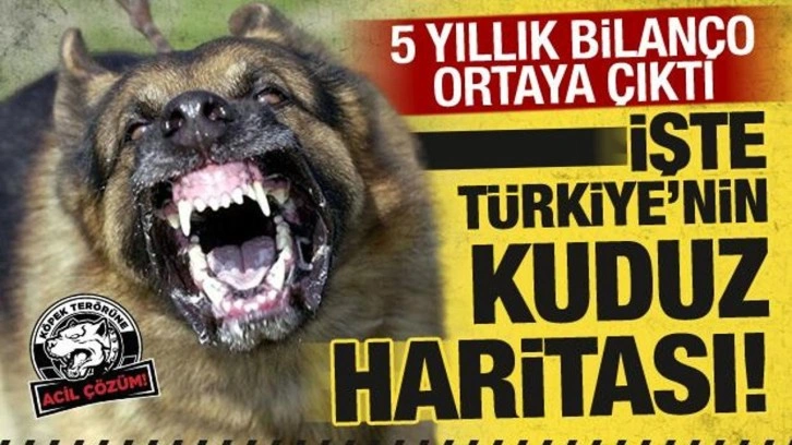 Türkiye'de 5 yıldır kuduz vakaları nedeniyle 12 ilde karantina uygulandı
