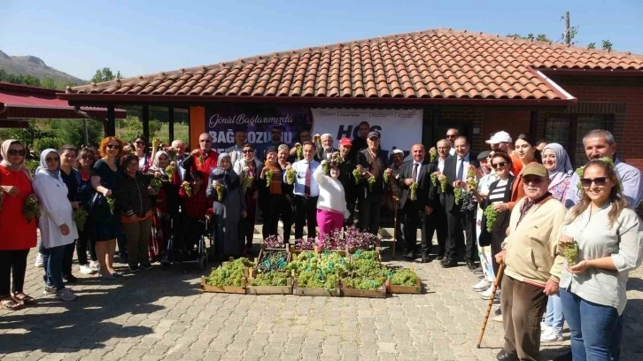 Türkiye’de tek olan ’Gönül Bağlarımızda Bağ Bozumu’ şenliği düzenlendi
