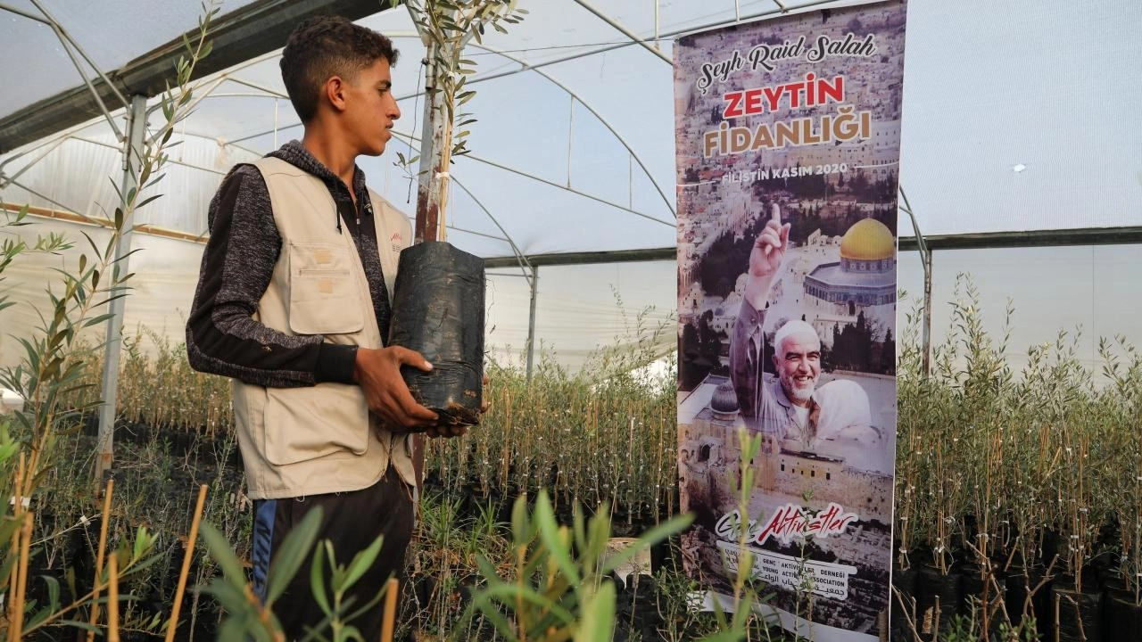 Türkiye’den Kudüs’te Zeytin Fidanlıkları