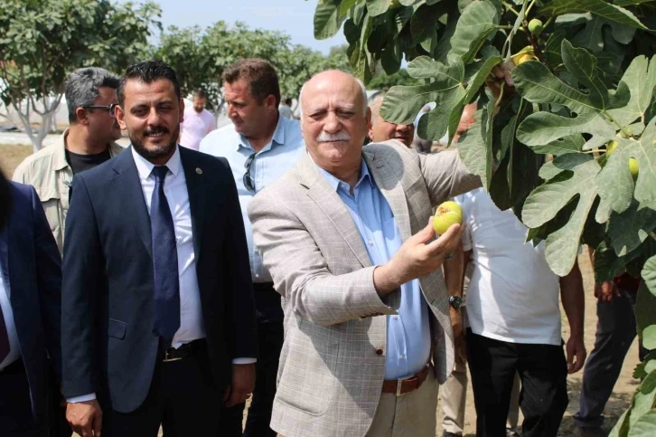 TZOB Genel Başkanı Bayraktar: “TMO’nun piyasaya girmesi sağlanmalıdır”
